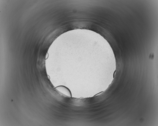 X0000111500191200908251058