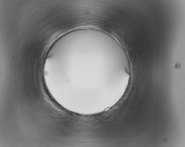 X0000111500193200908251057