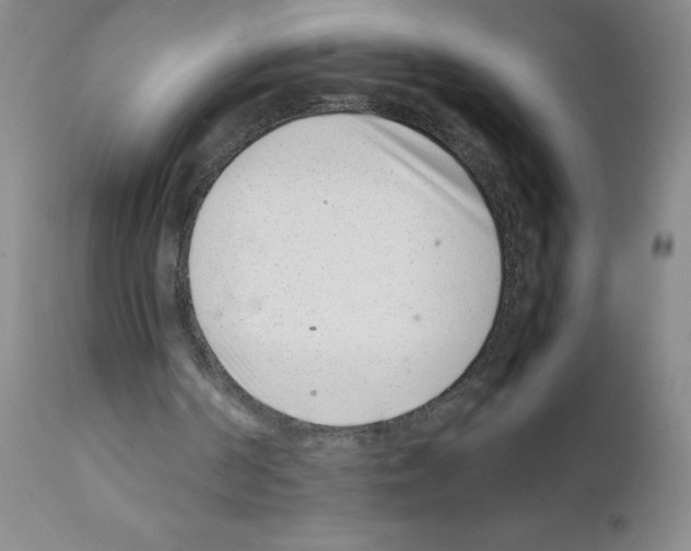 X0000111500194200908251057