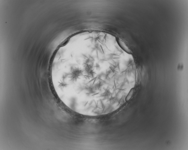 X0000111500195200908251057