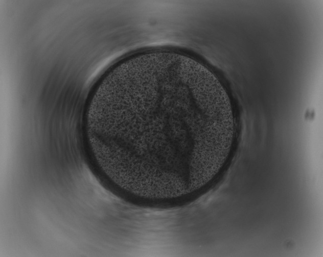 X0000111500196200908251057