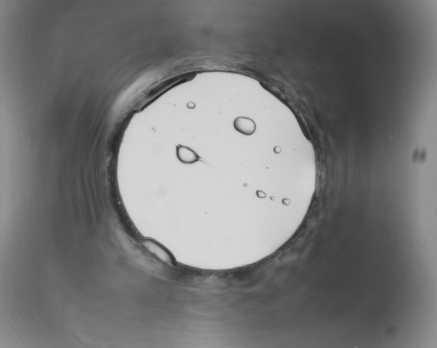 X0000111500197200908251057