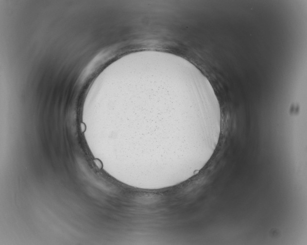 X0000111500198200908251057