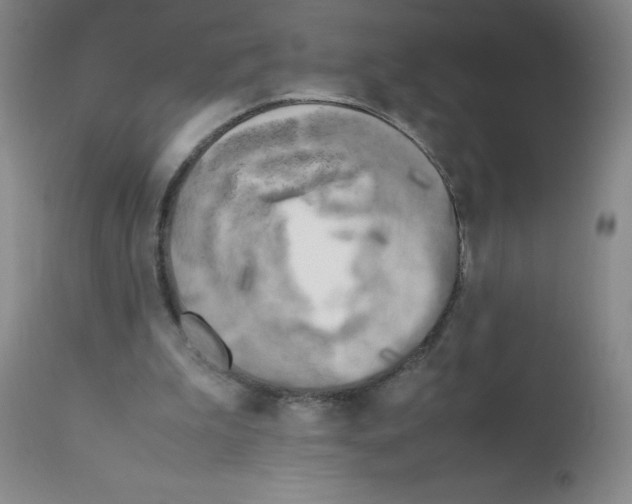 X0000111500199200908251057