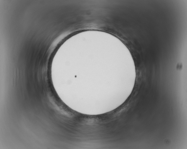 X0000111500200200908251057