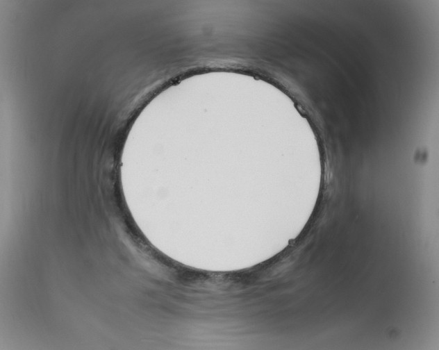 X0000111500201200908251057