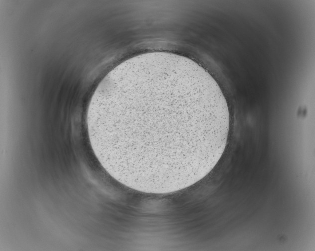 X0000111500202200908251057