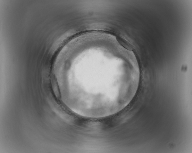 X0000111500203200908251057