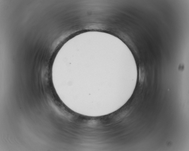 X0000111500204200908251057