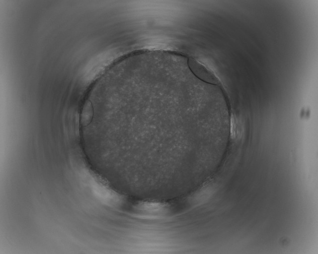 X0000111500205200908251057