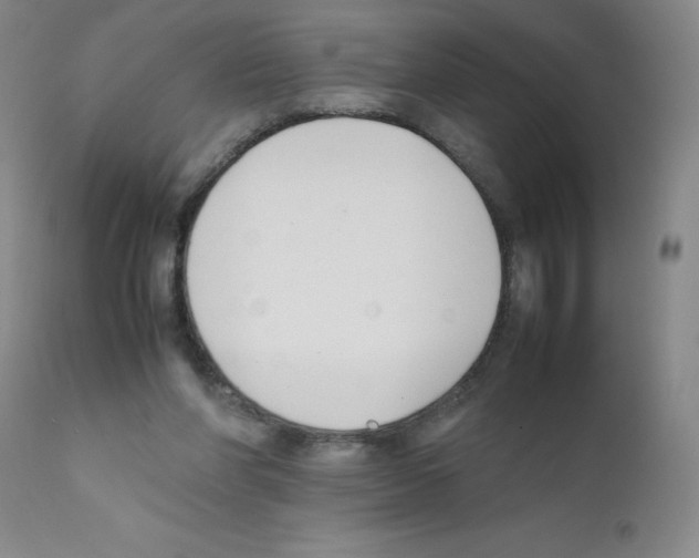 X0000111500206200908251057