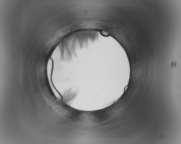 X0000111500207200908251057