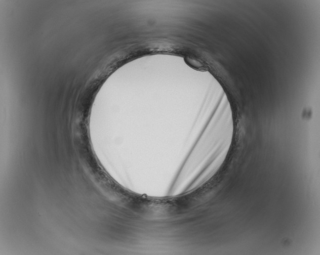 X0000111500209200908251057