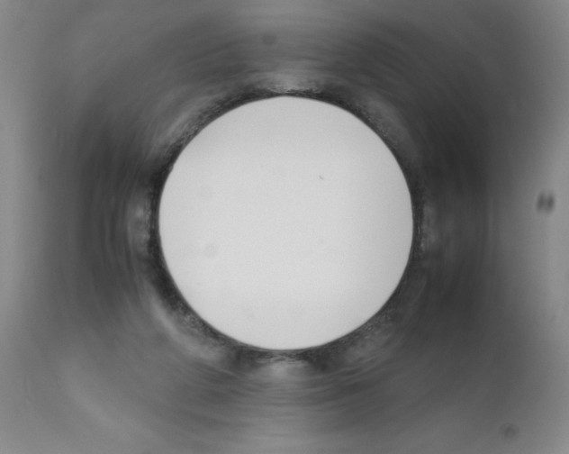 X0000111500210200908251057