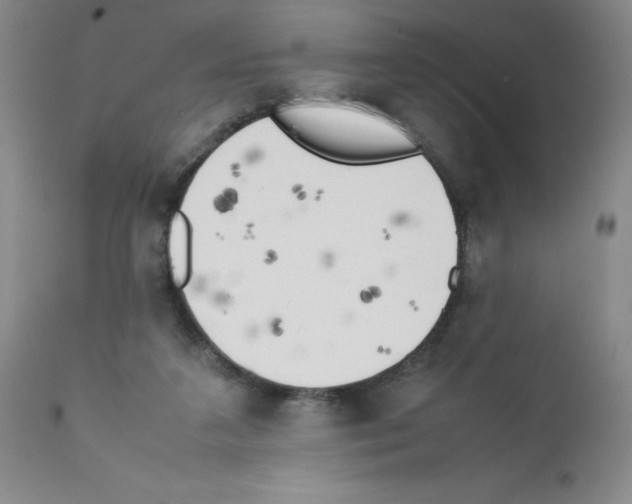 X0000111500211200908251057