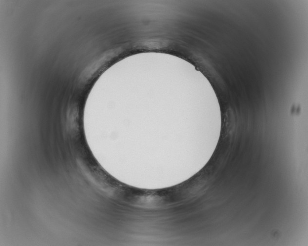 X0000111500212200908251057