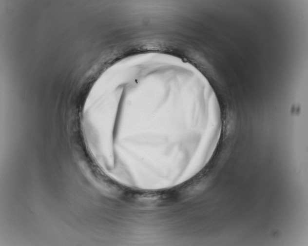 X0000111500213200908251057