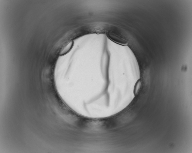 X0000111500217200908251057