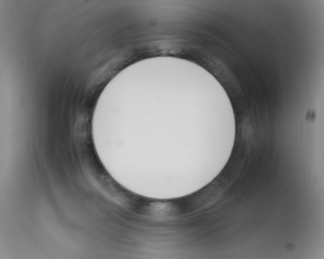 X0000111500218200908251057