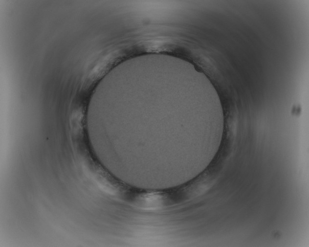 X0000111500219200908251057