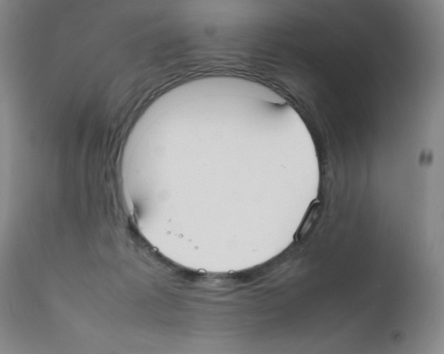 X0000111500221200908251057