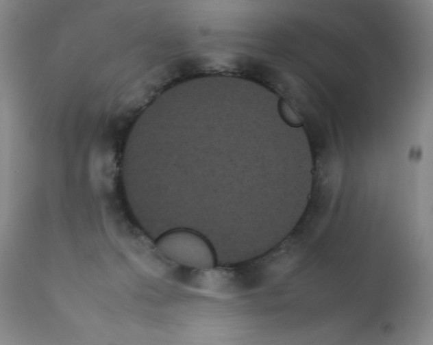 X0000111500223200908251057