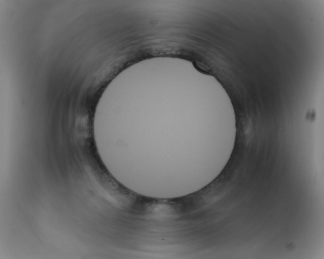 X0000111500224200908251057