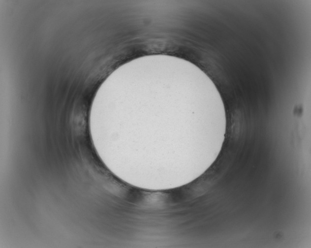 X0000111500226200908251057