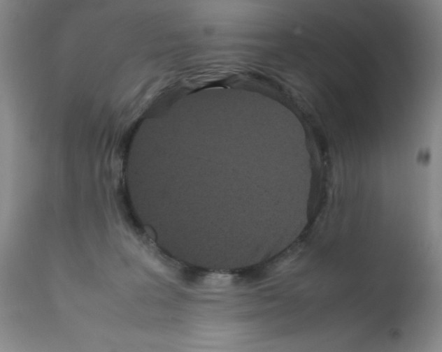 X0000111500227200908251057