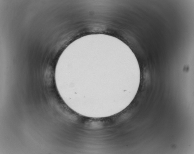 X0000111500228200908251057