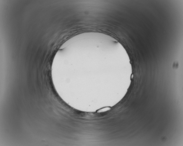 X0000111500229200908251057