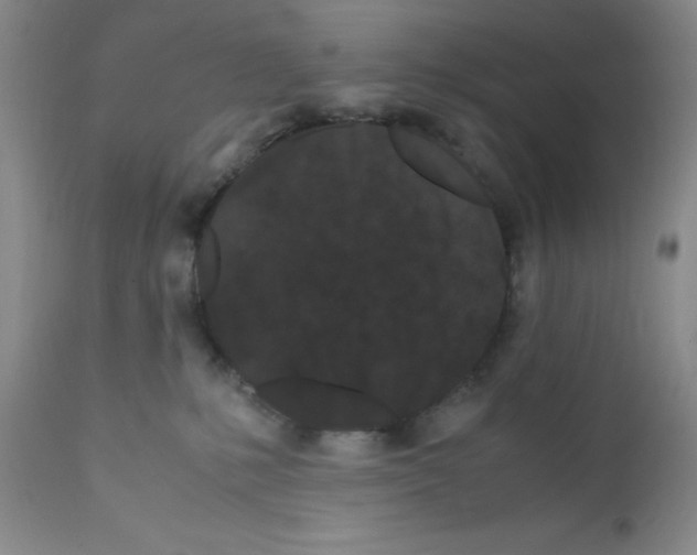 X0000111500231200908251057