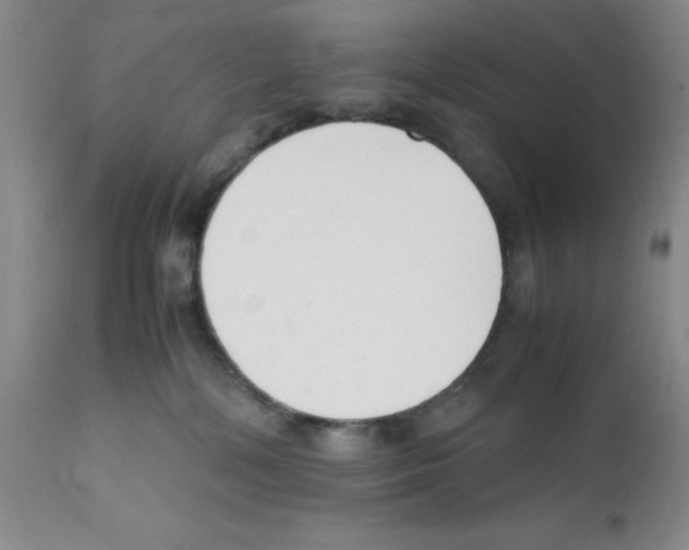 X0000111500232200908251057