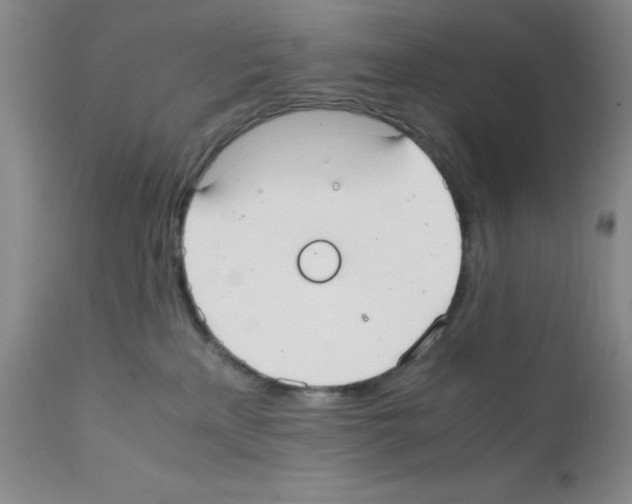 X0000111500233200908251057