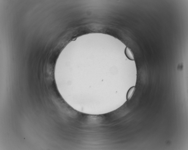 X0000111500234200908251057