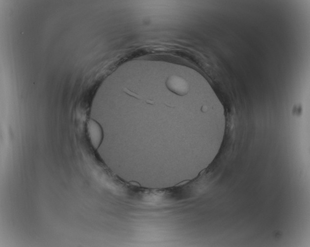 X0000111500235200908251057