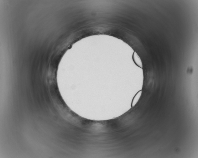 X0000111500236200908251057