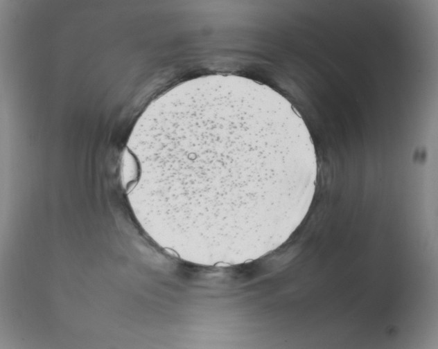 X0000111500237200908251057