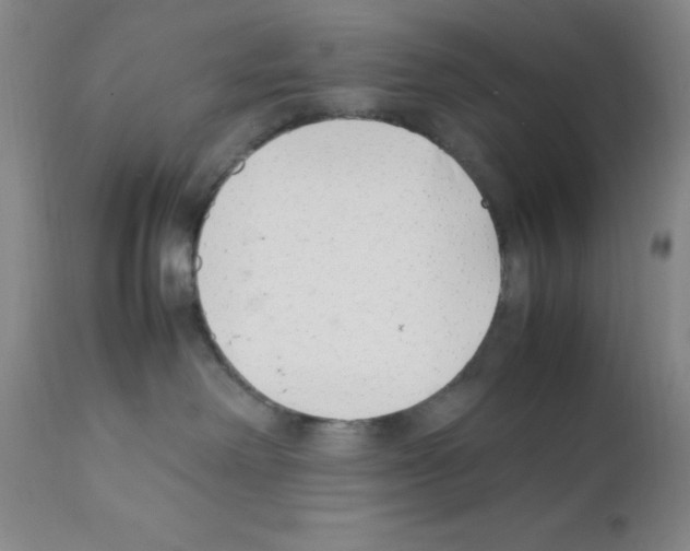 X0000111500238200908251057