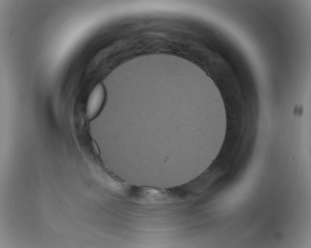 X0000111500239200908251057