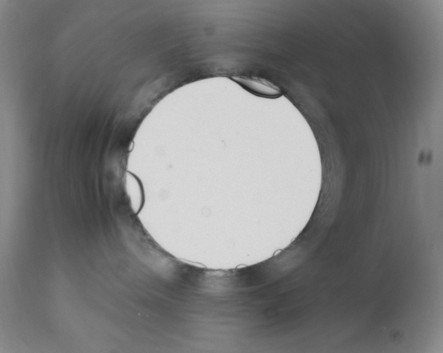 X0000111500240200908251057