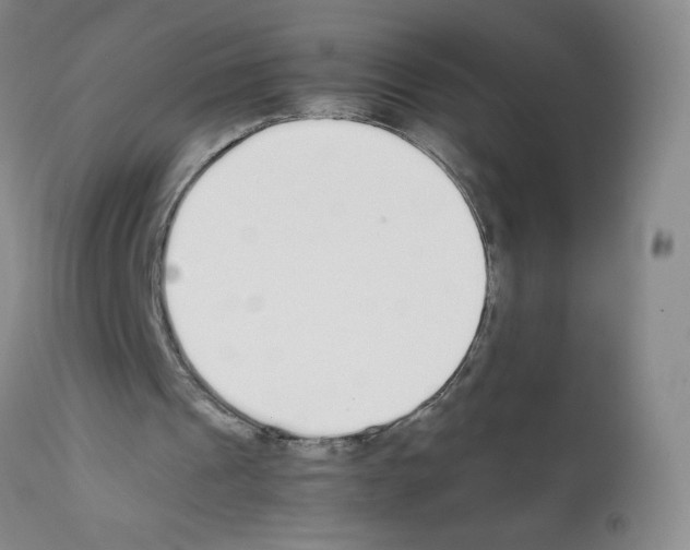 X0000111500241200908251056