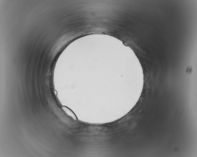 X0000111500242200908251056