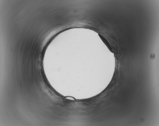 X0000111500244200908251056