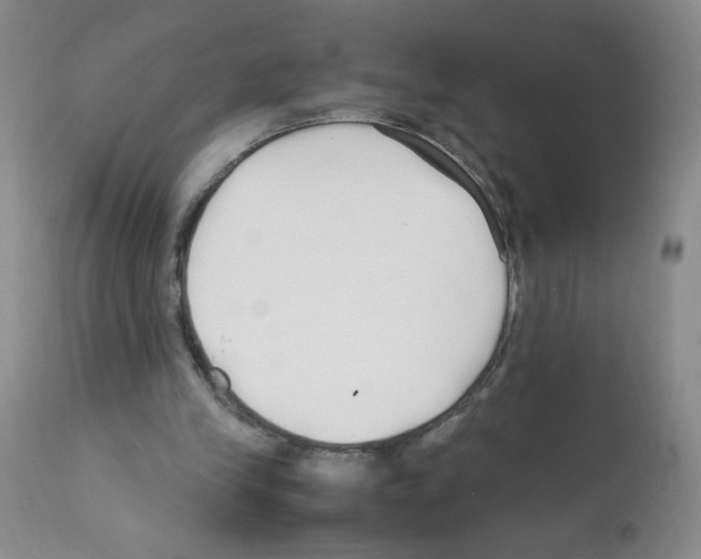 X0000111500245200908251056