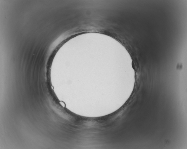 X0000111500246200908251056