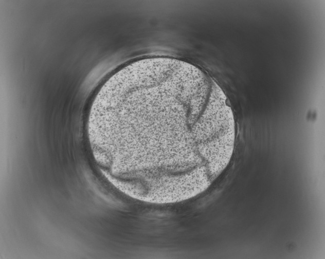 X0000111500247200908251056