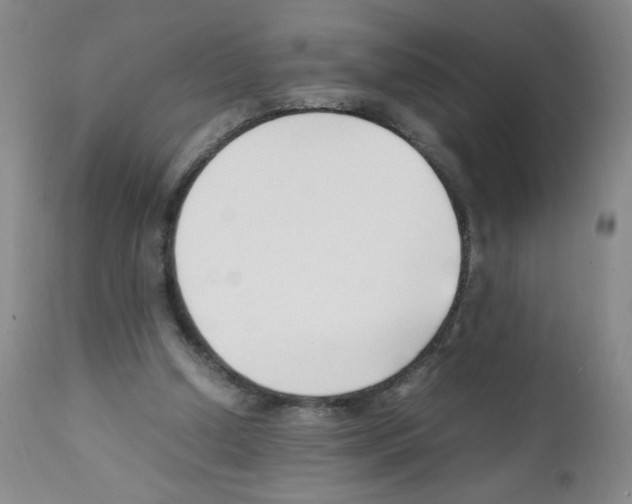 X0000111500250200908251056