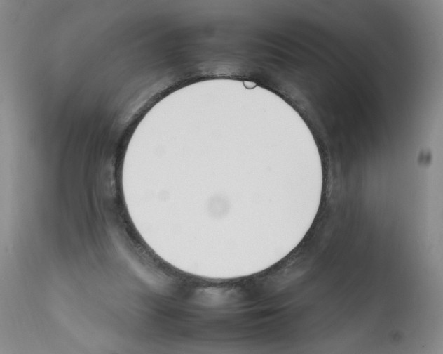 X0000111500251200908251056