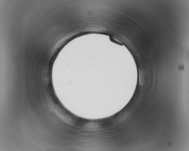 X0000111500252200908251056